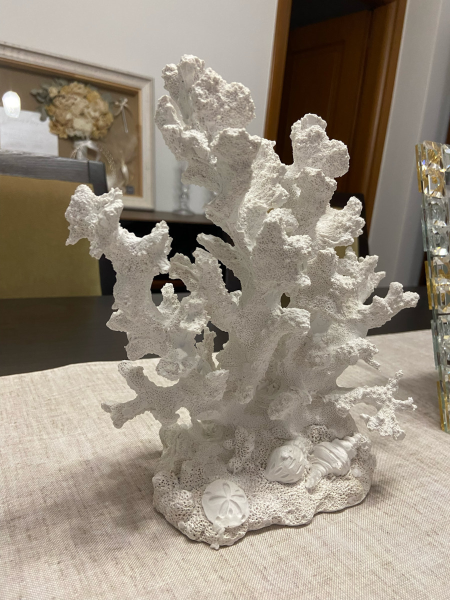 Art Et Lumiere Decorative Coral 20171 16x13x9cm 16x13x9cm