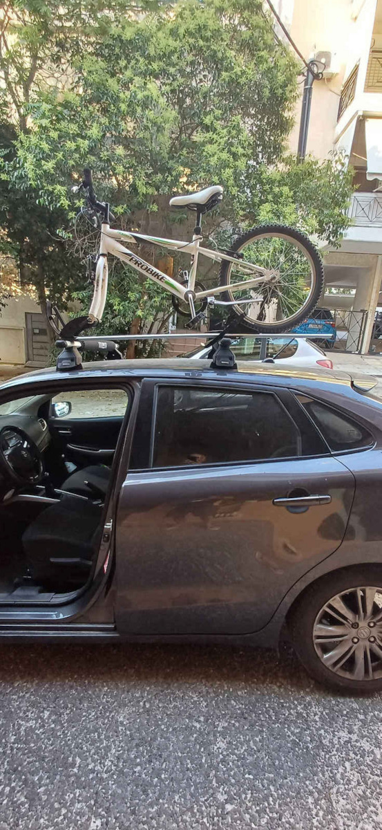 Menabo Pro Tour Car Bike Ceiling Rack for 1 Bike