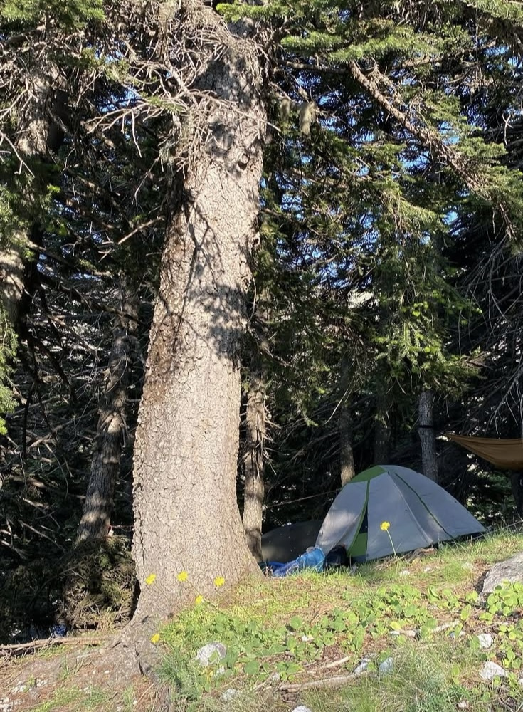 Bigfour Versa 3 Camping Tent Igloo Green with Double Cloth 3 Seasons for 3 People 205x205x135cm