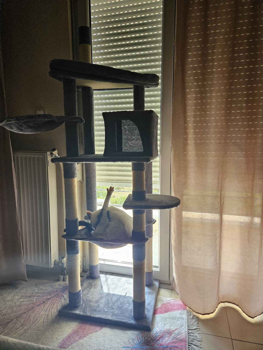 eBest Ονυχοδρόμιο Γατόδεντρο Γκρι 5 επιπέδων 55x45x185εκ.