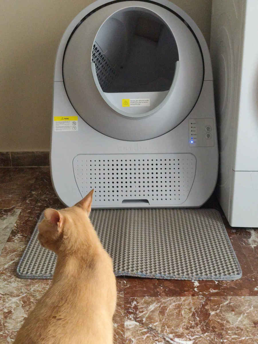 Catlink Scooper Young Version Katzentoilette Selbstreinigend mit Filter und Sieb Gray L60 x B58 x H71cm