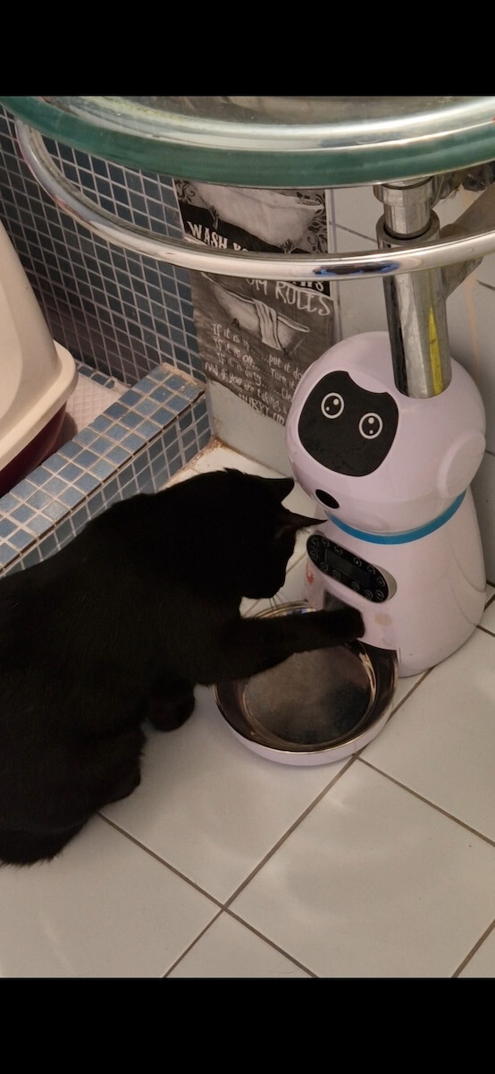 Pet Interest Robert Automatic Stainless Steel Feeder for Dog & Cat 3.5lt 30.5cm in White Color