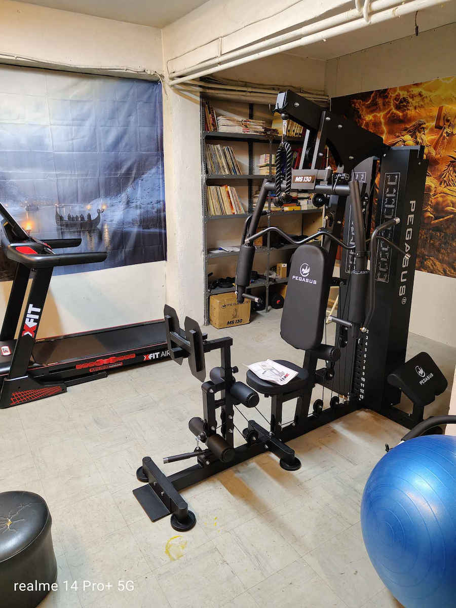Pegasus Biceps/Triceps Machine with Weights 73kg