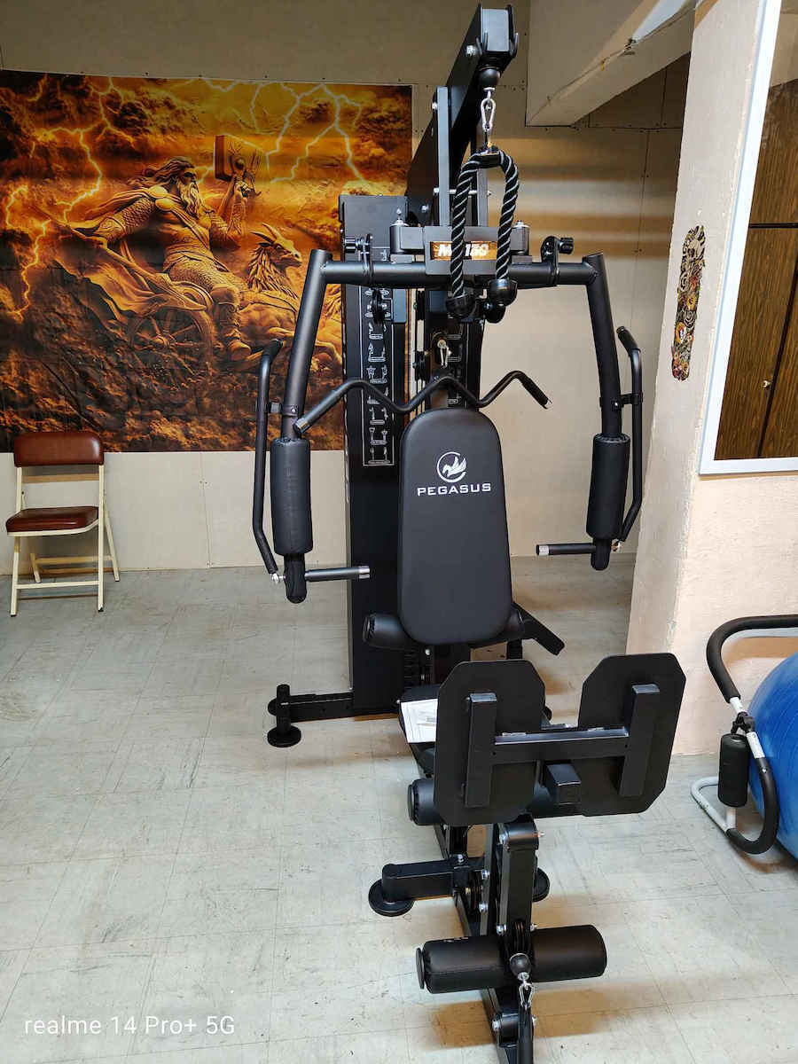 Pegasus Biceps/Triceps Machine with Weights 73kg