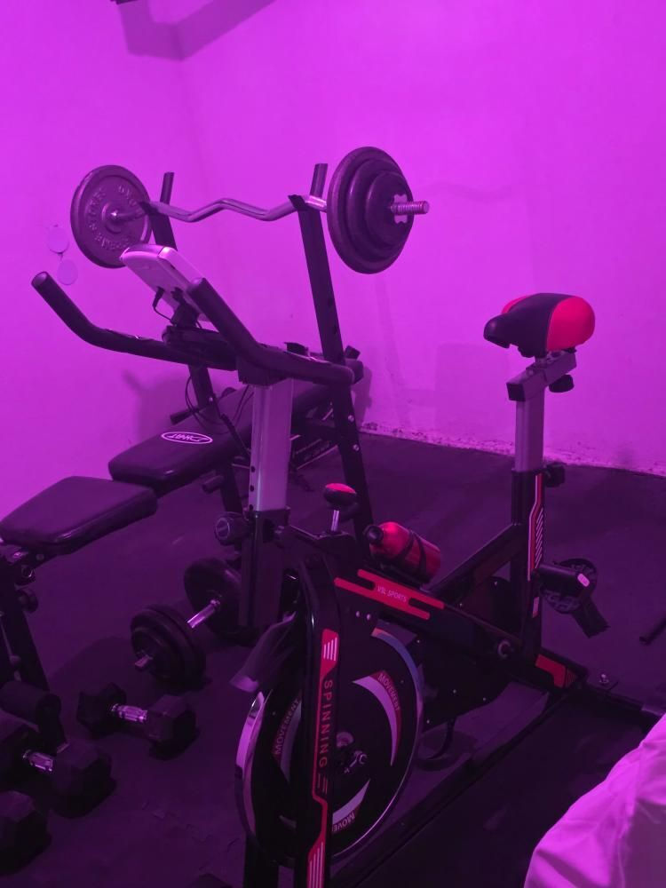 VSL Sports AeroRide 300® Ποδήλατο Spinning Μαγνητικό με Ροδάκια