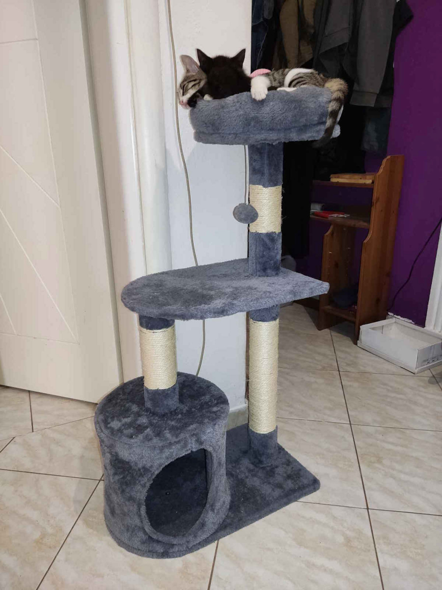 Scratching Post Cat Trees Gray 3 levels 30x50x90cm 3 Levels