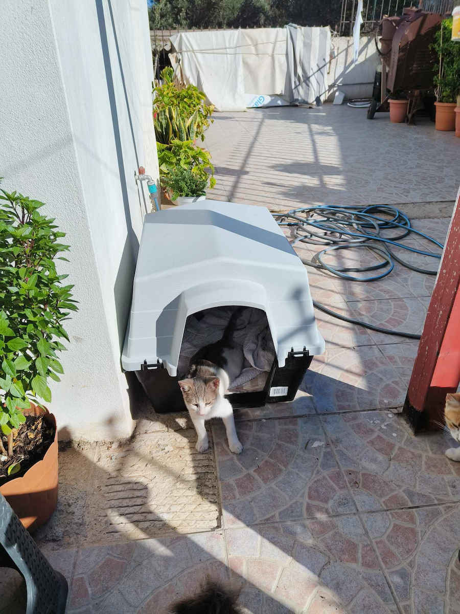 Vesta Dog House Plastic Outdoor Black 40x69.5x44cm