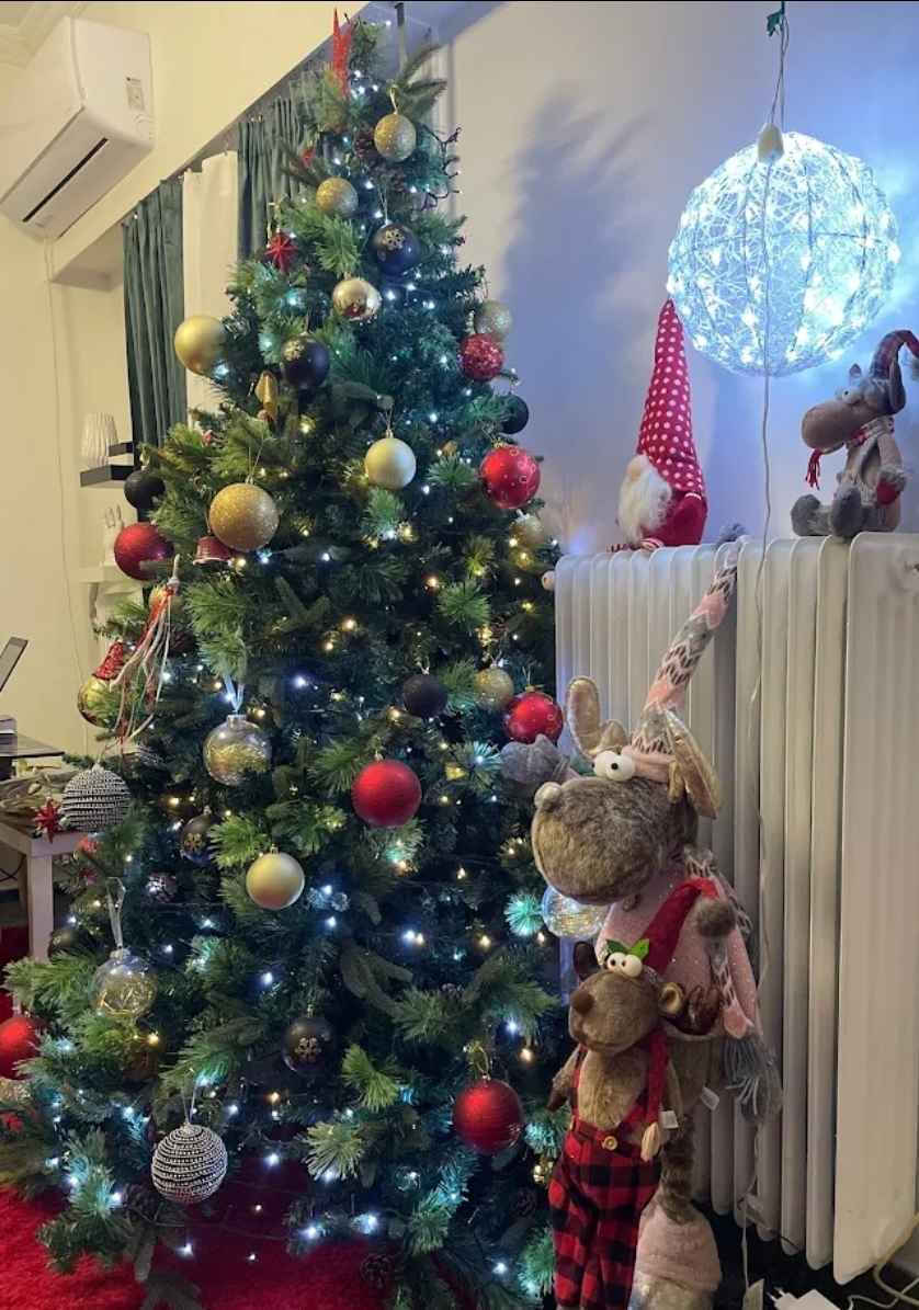Коледно дърво Makalu Fir 210cm с 1880 Клони
