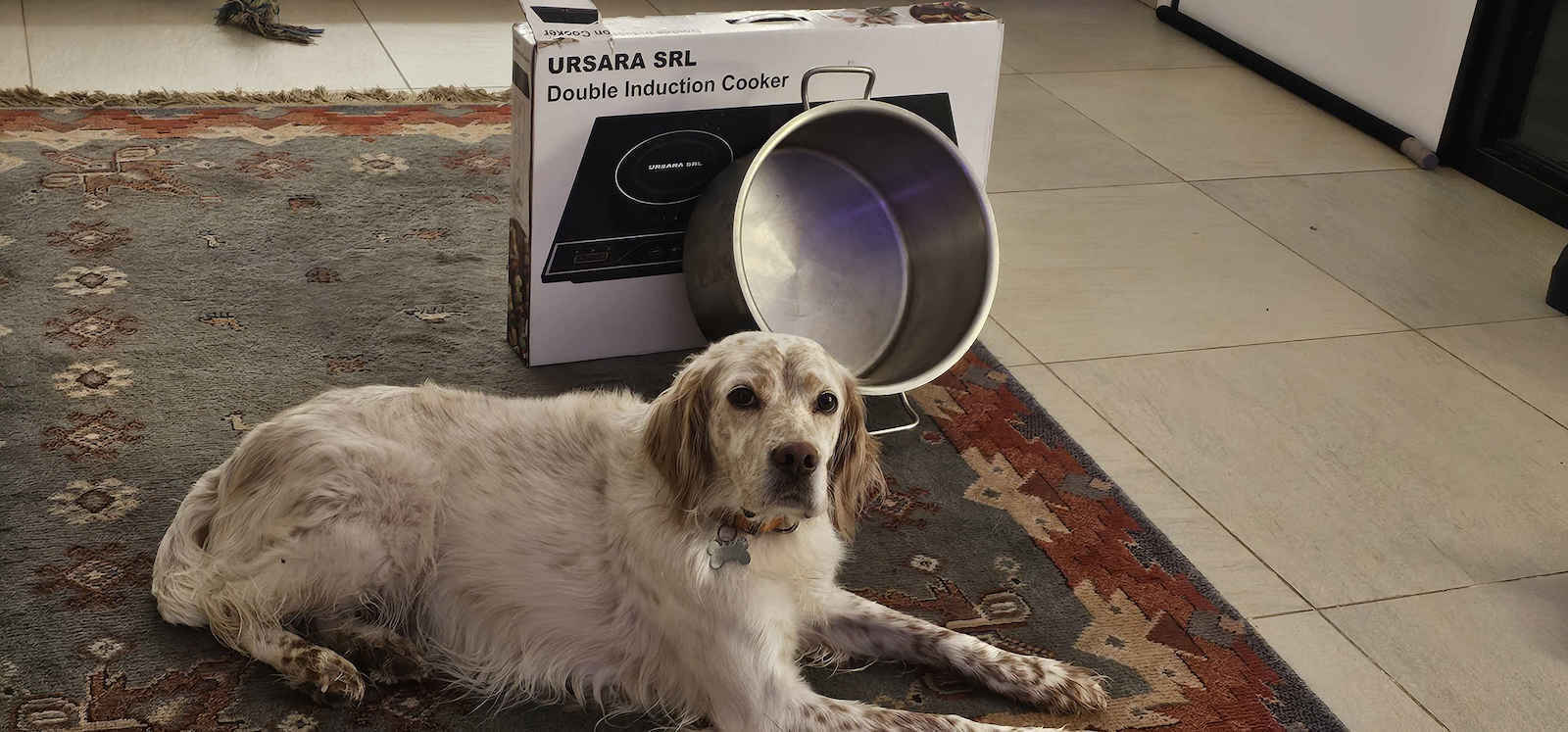 Beko Ursara Επιτραπέζια Εστία Επαγωγική Διπλή Μαύρη