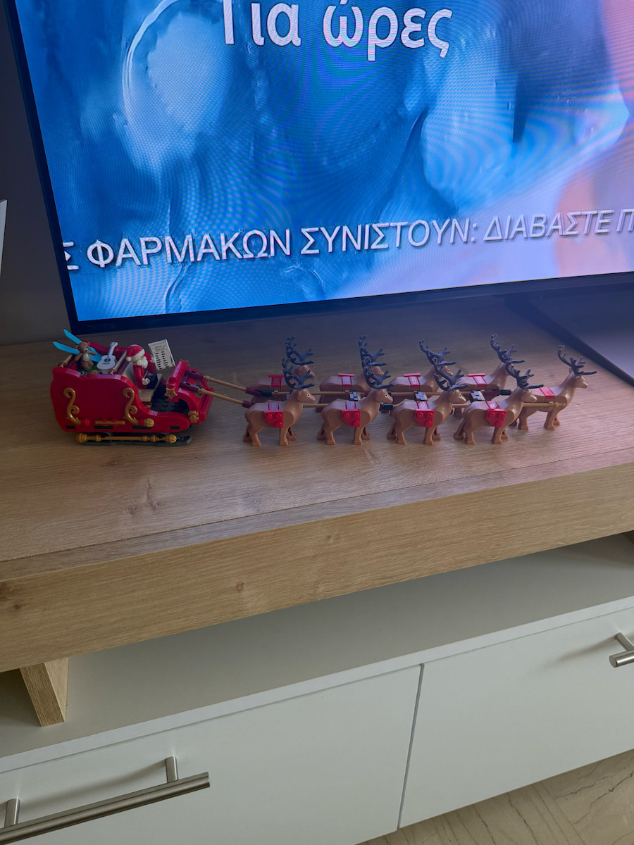 LEGO Seasonal Santa's Sleigh for Ages 9+ 343 Pieces