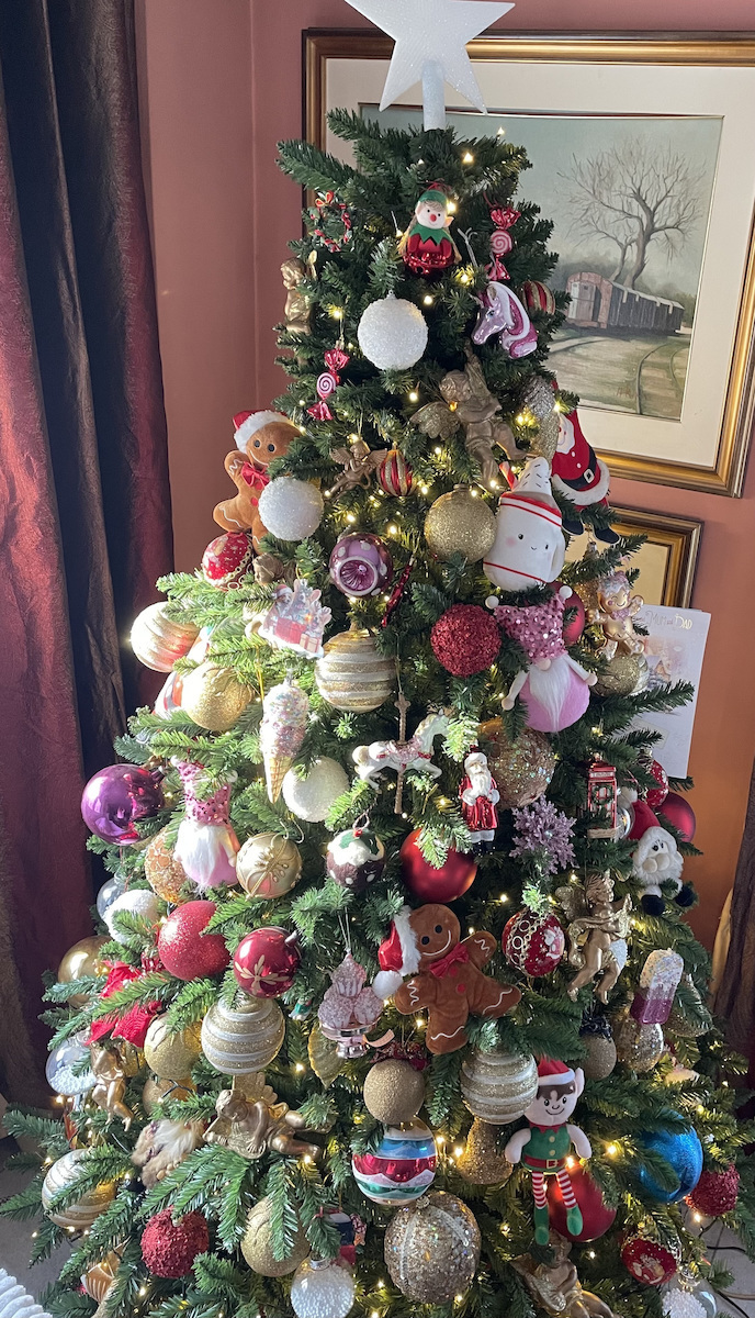 Christmas Tree Washington 210cm with 1524 Branches