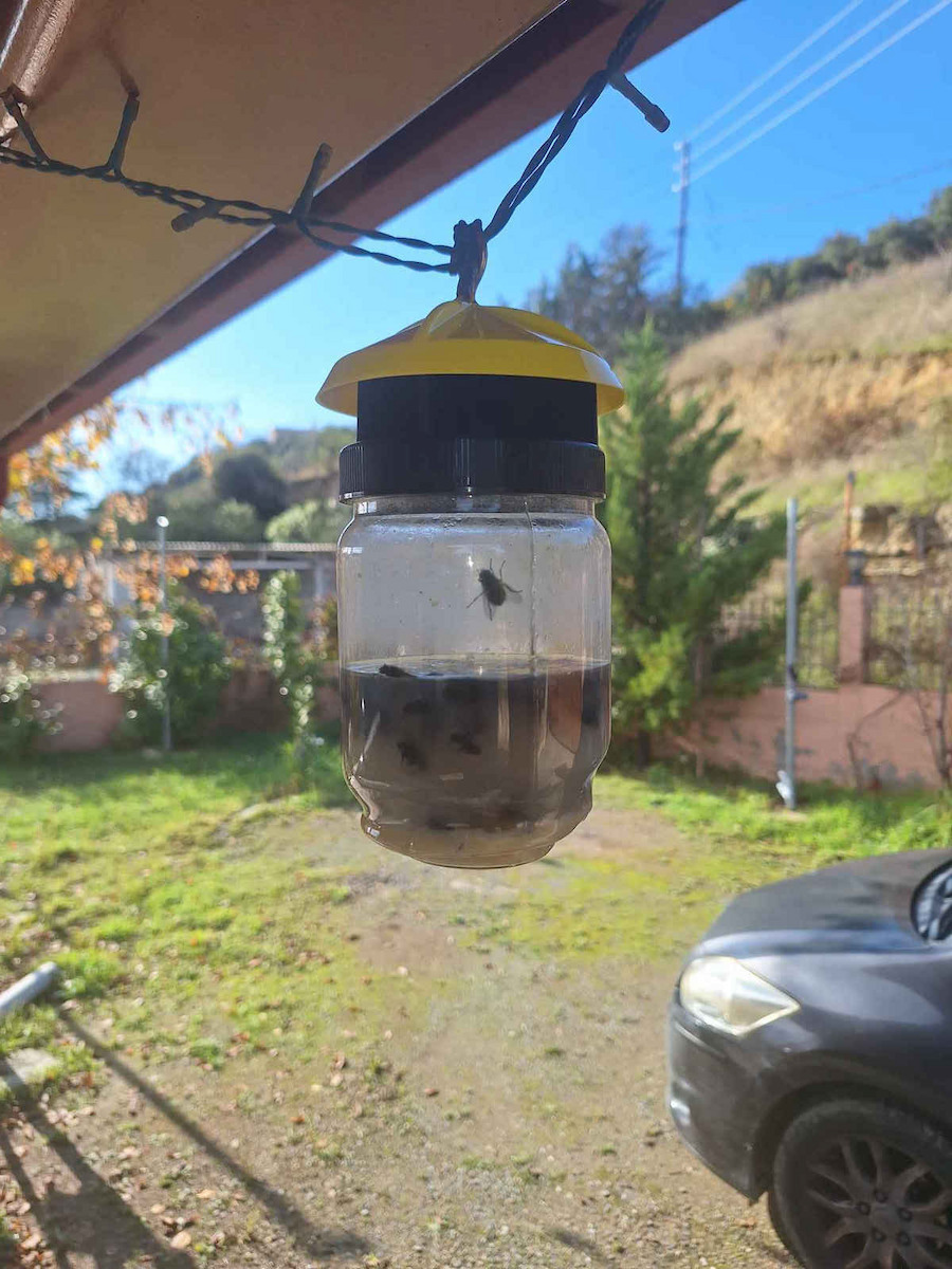 STAC Fly Magnet Παγίδα για Μύγες