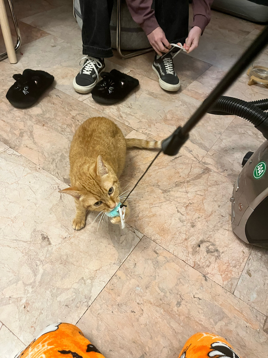 Trixie Playing Rod Παιχνίδι Γάτας Ραβδί Ραβδί με Ψάρι 42εκ.