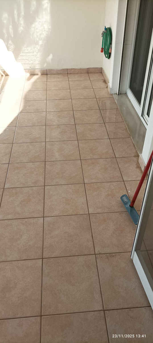 New Line Cleaner Υγρό Καθαριστικό Λεκάνης 3lt