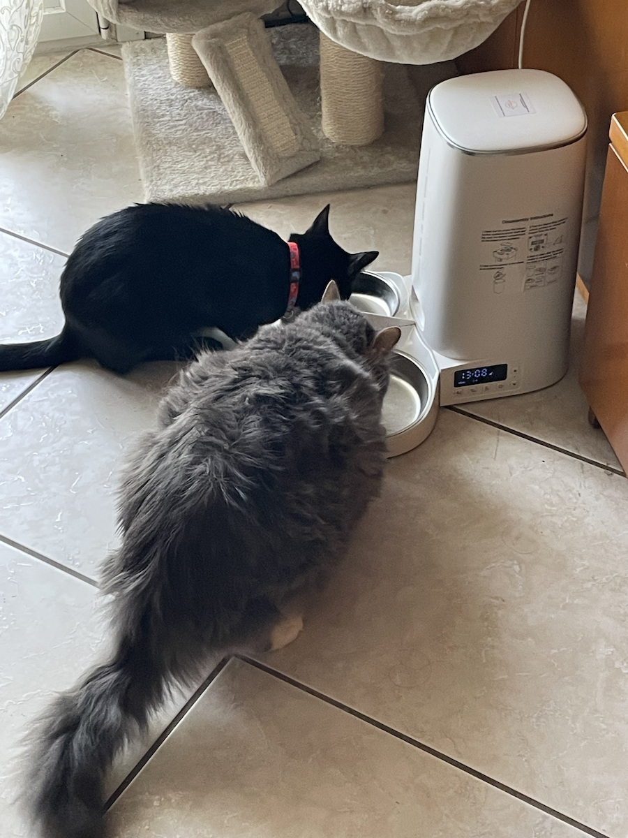 Hranitor automat pentru animale de companie Rojeco 4l versiunea cu buton, bol dublu