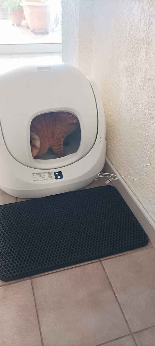 Catlink BayMax Version Katzentoilette Selbstreinigend Weiß L59.9 x B53.3 x H54.5cm