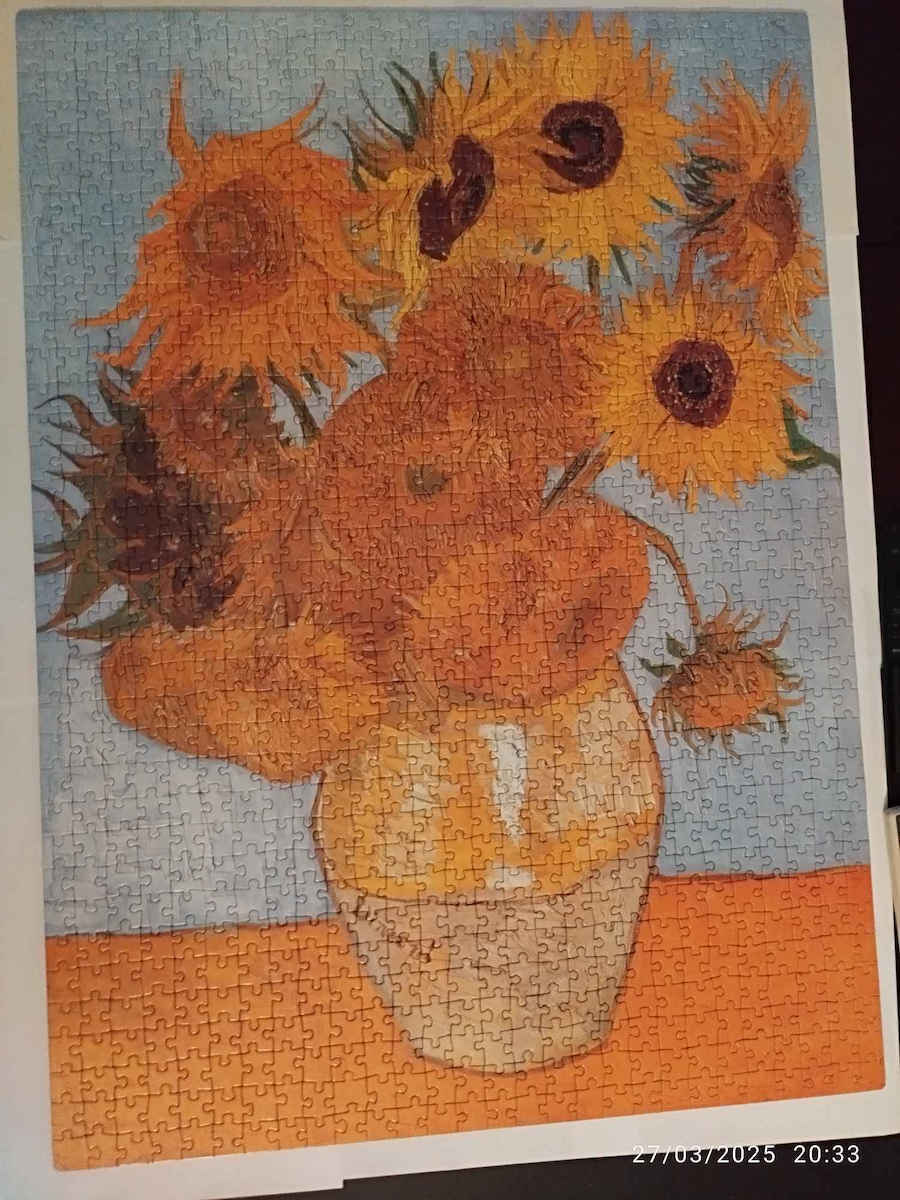 Museum Van Gogh Puzzle 2D 1000pcs