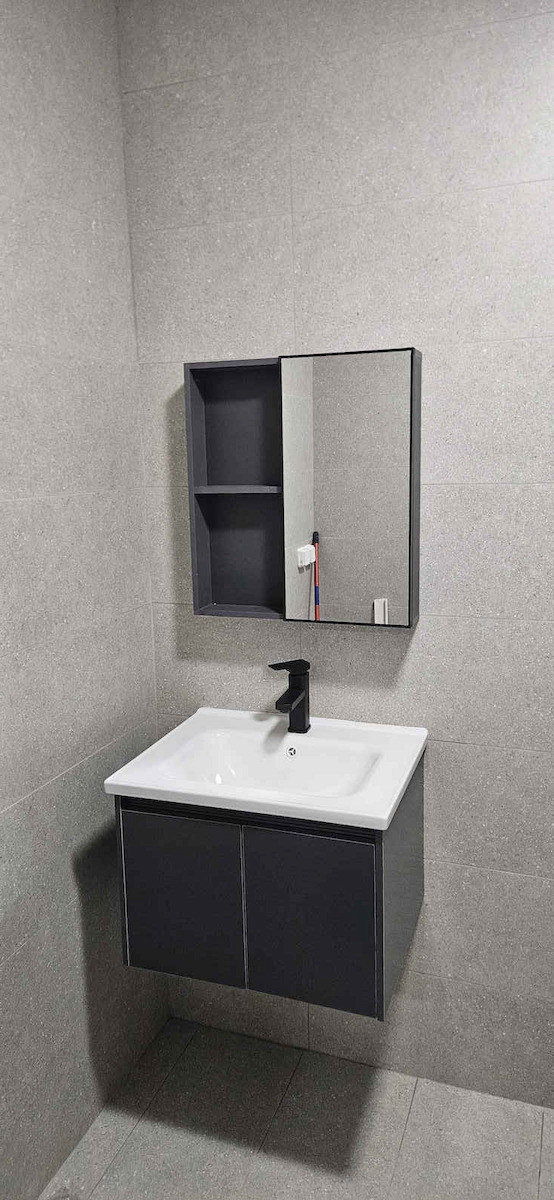 Woodwell IDEA-1 Countertop with Sink & Mirror L60xW45xH47cm Gray