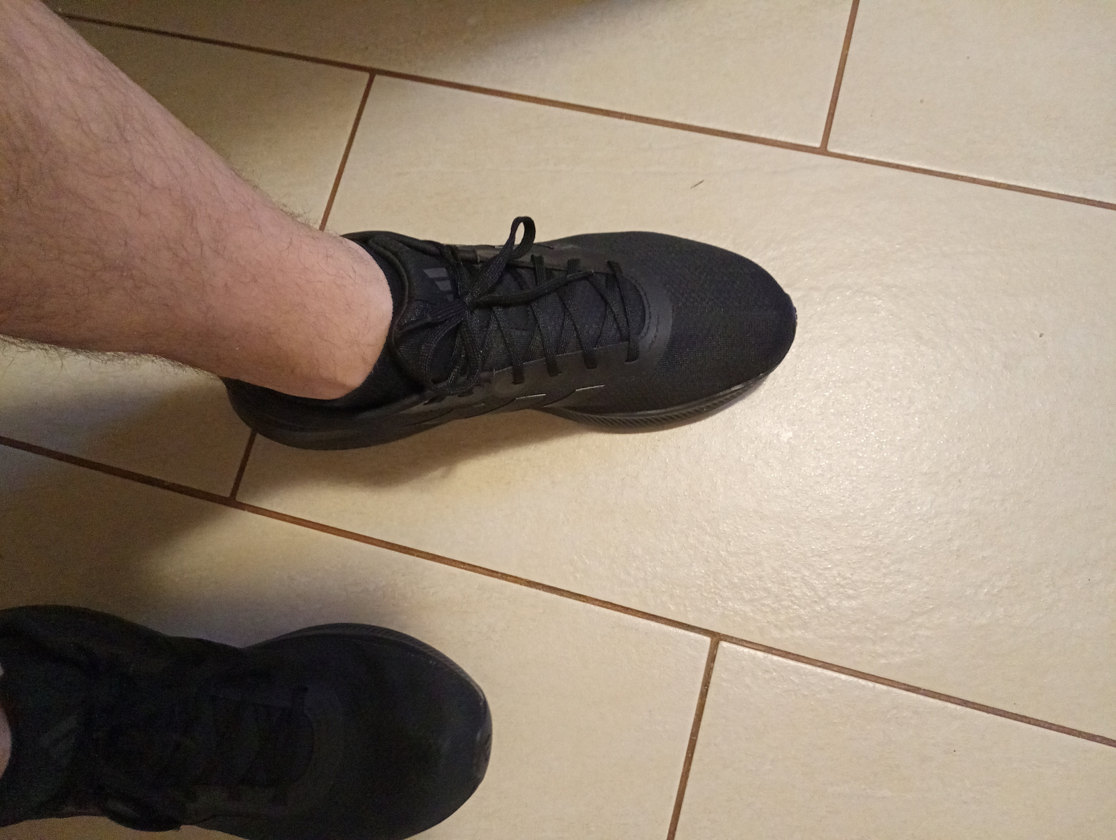 Runfalcon 3 Sport Shoes Running Core Black / Carbon