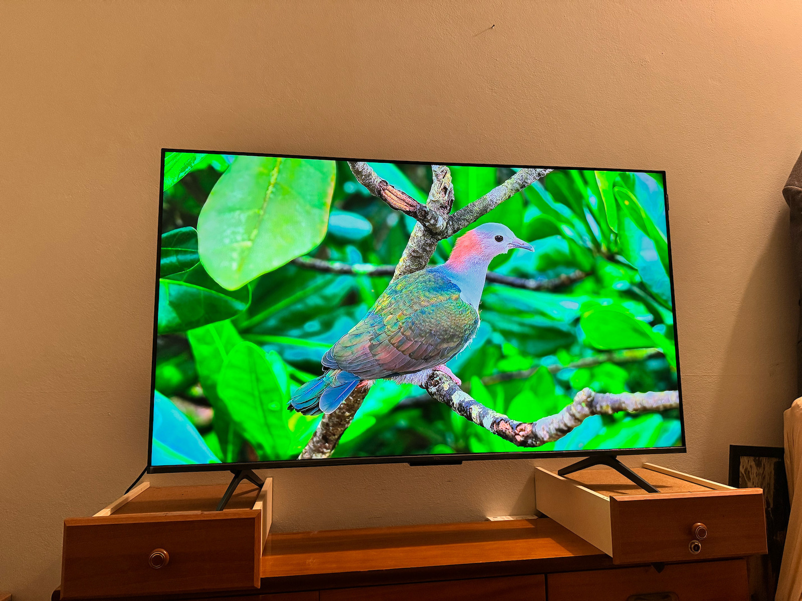 TCL Smart Τηλεόραση 50" 4K UHD Mini LED 50C61K HDR (2025)