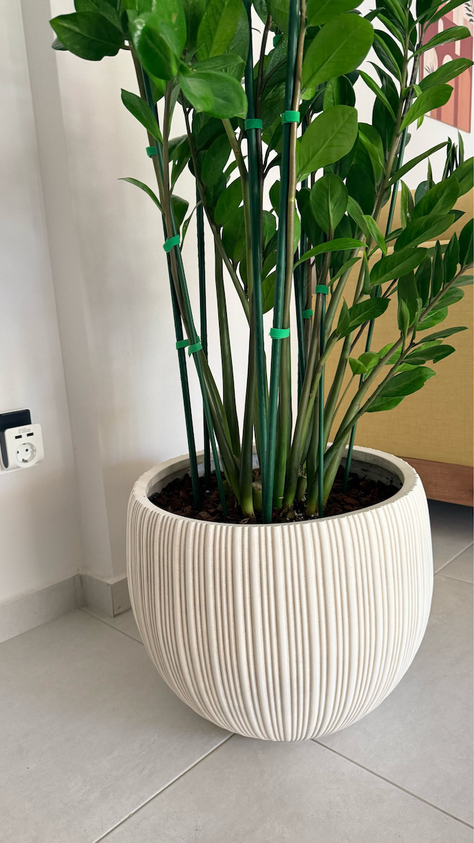 Supergreens Γλάστρα Πήλινη Anti-beige 48x48x37.5εκ.
