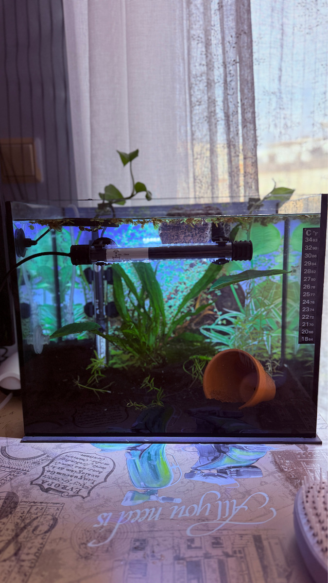 Aqua Nova Sponge Filter Aquarium Filter for Aquariums up to 40lt Capacity with 40lt/h Output