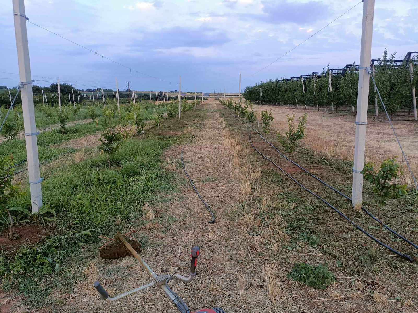 Gardenman GMBC620 Δίχρονο Βενζινοκίνητο Χορτοκοπτικό Ώμου / Χειρός 3.5hp 9.5kg