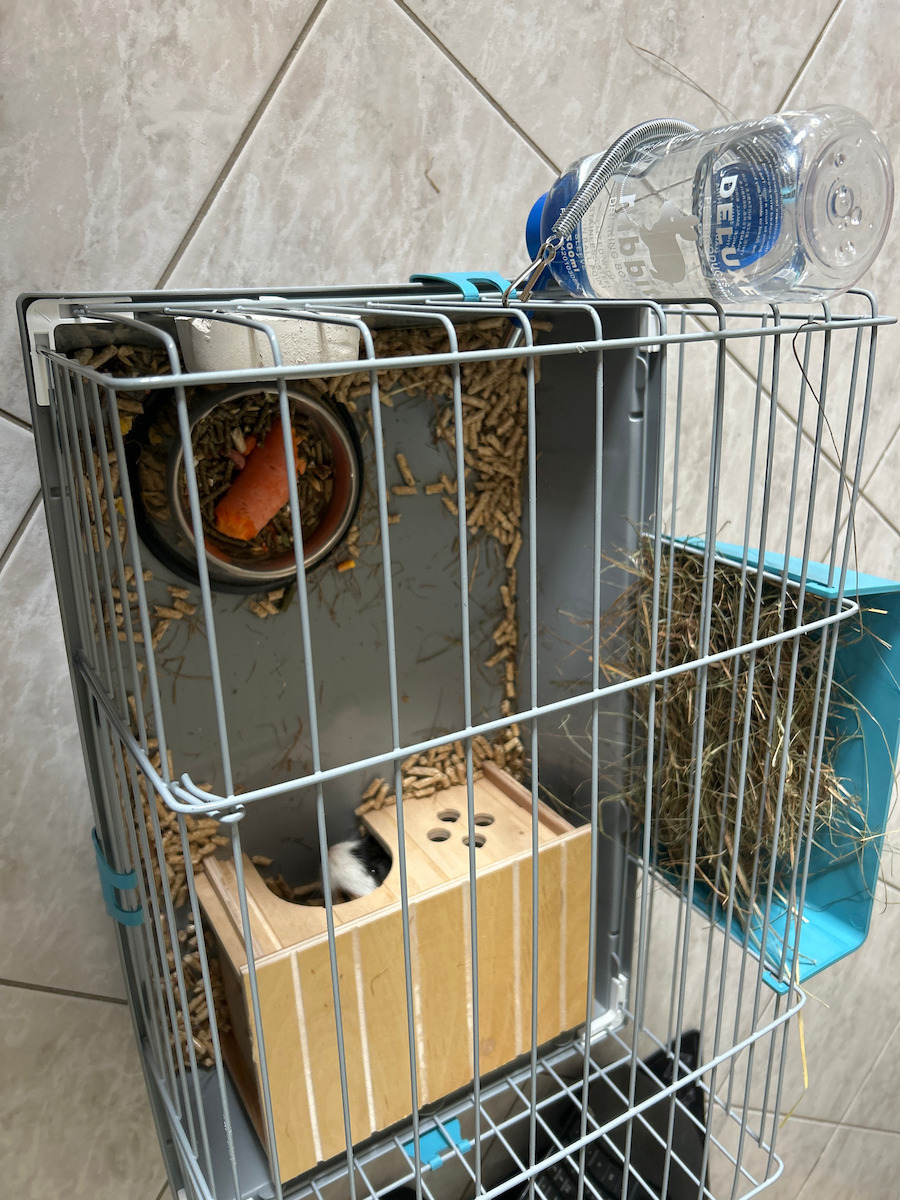 Ferplast House for Guinea pig / Rabbit Sin Wooden 26x17.3x13cm. 84645099