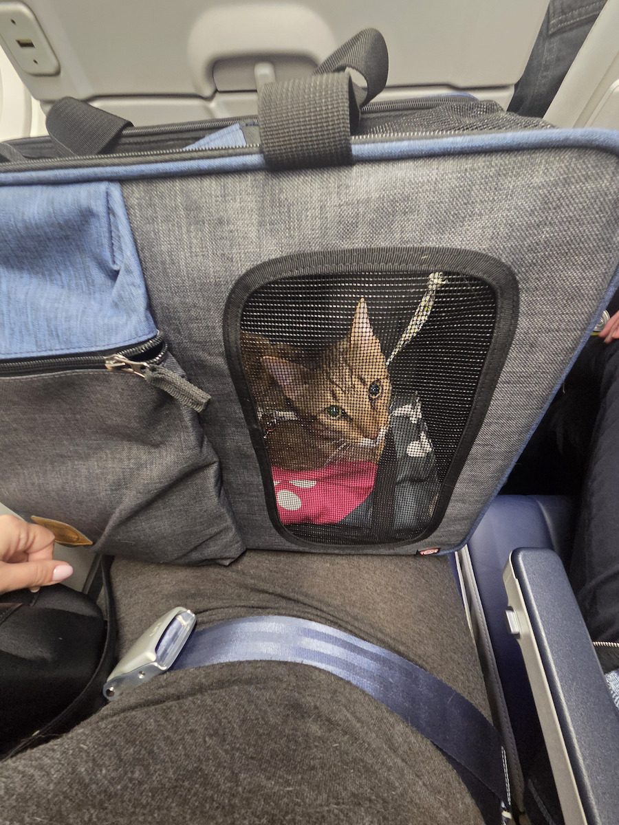 Trixie Tara Cat Carrier Bag 50x25x38cm Blue