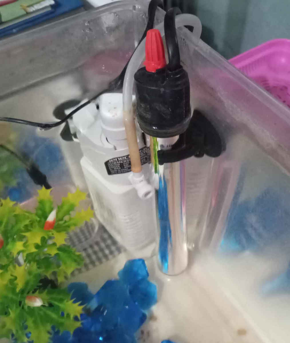 Θερμοστάτης Ενυδρείου 50W