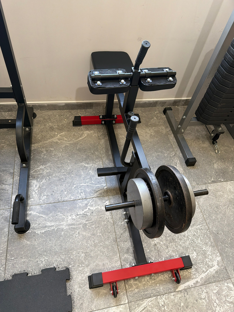 Vevor Calf Machine with Weights