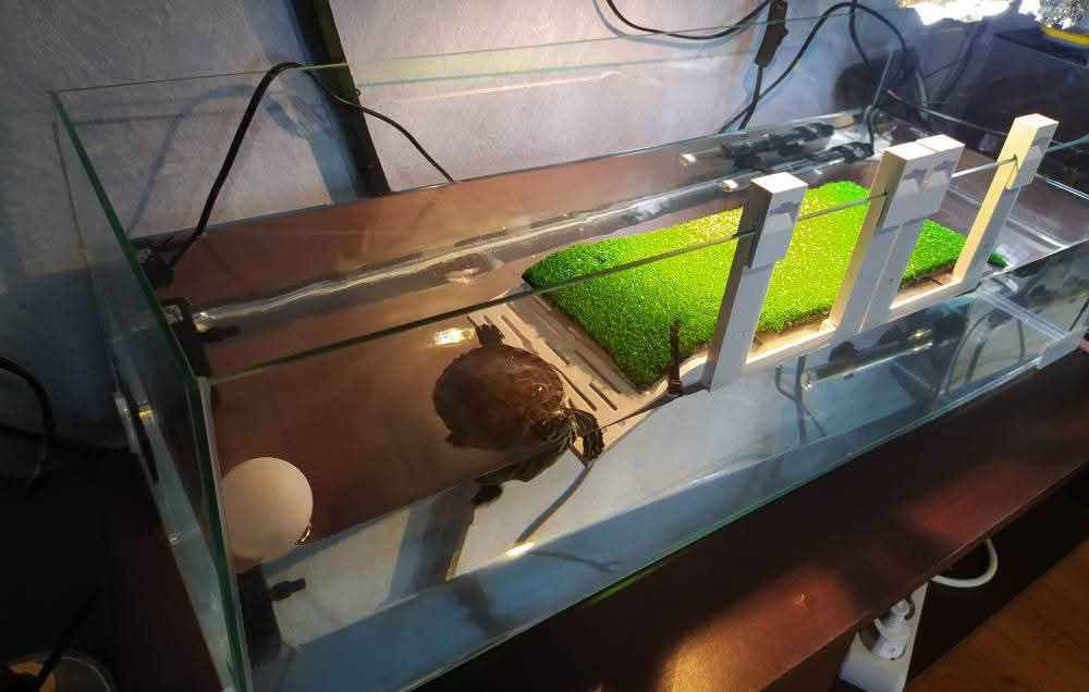 Ciano Reptile Terrarium White