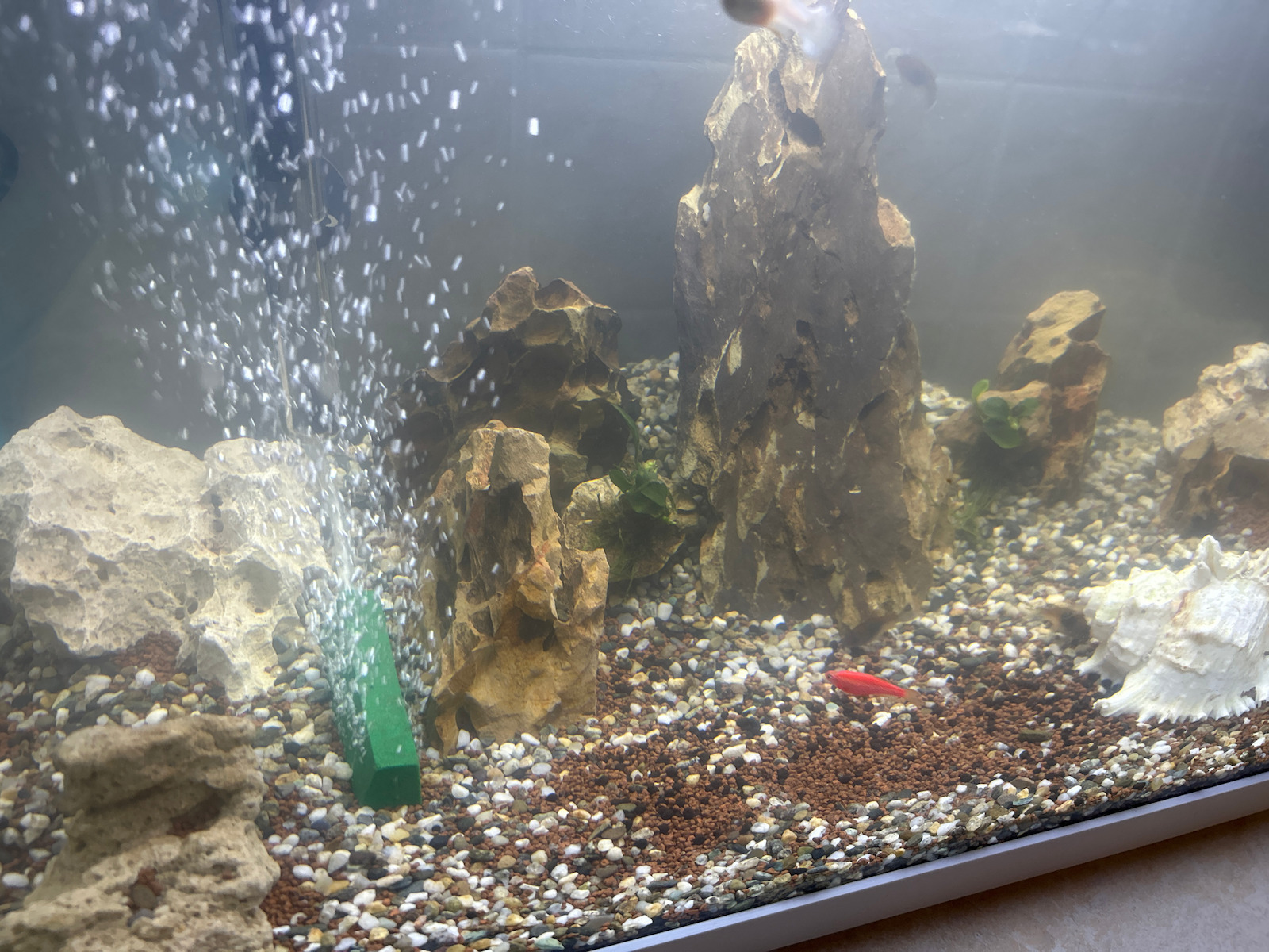 Amtra Strideways Dragon Stone Aquarium Decoration Stone 071755