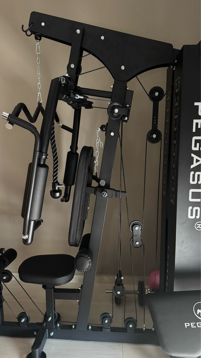 Pegasus Biceps/Triceps Machine with Weights 73kg