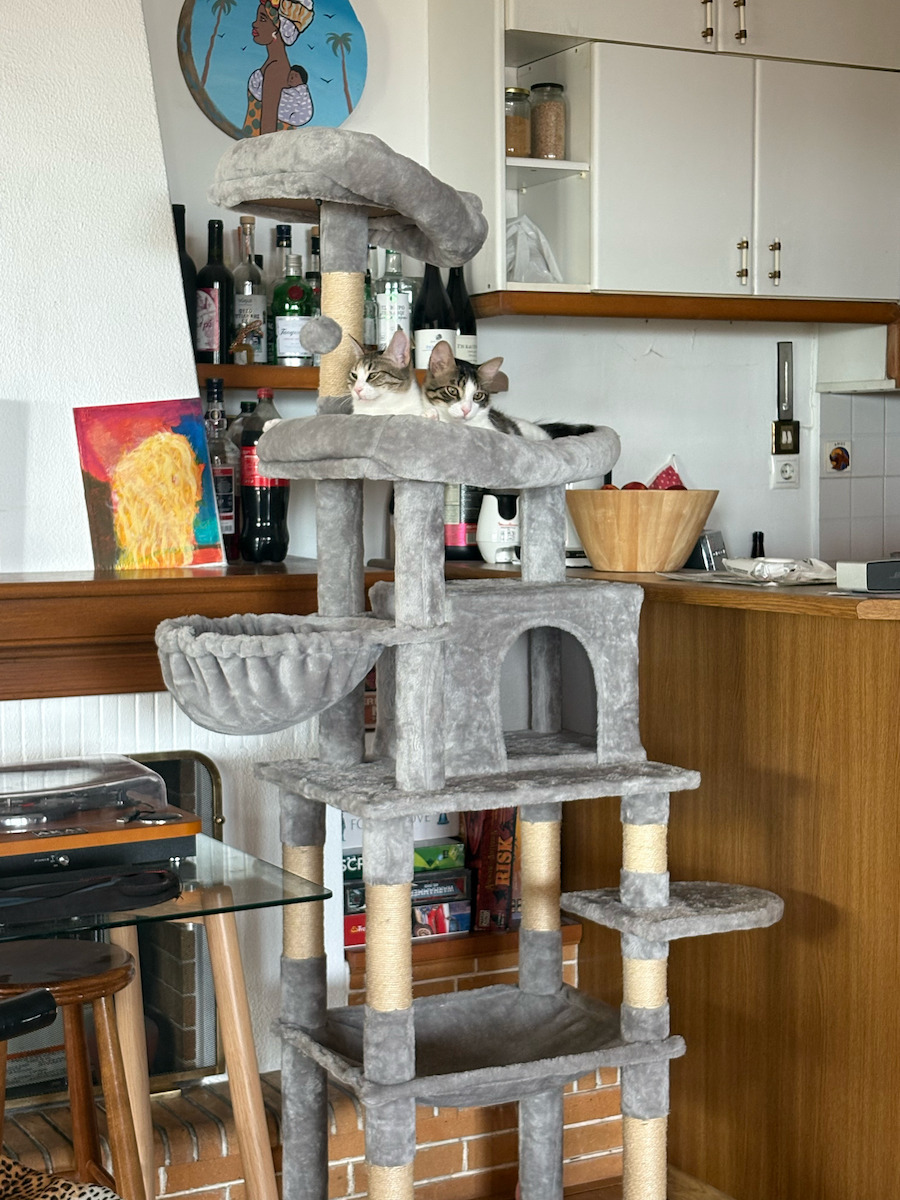 5-етажен котешки драскало Размери 55x45x185см