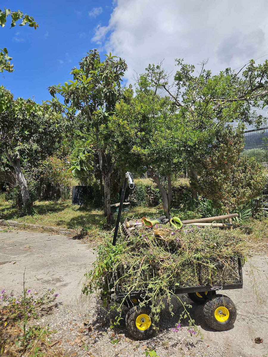 Anhänger Gartenkarre Metallisch Vierrädrig mit Maximalem Ladegewicht 300kg