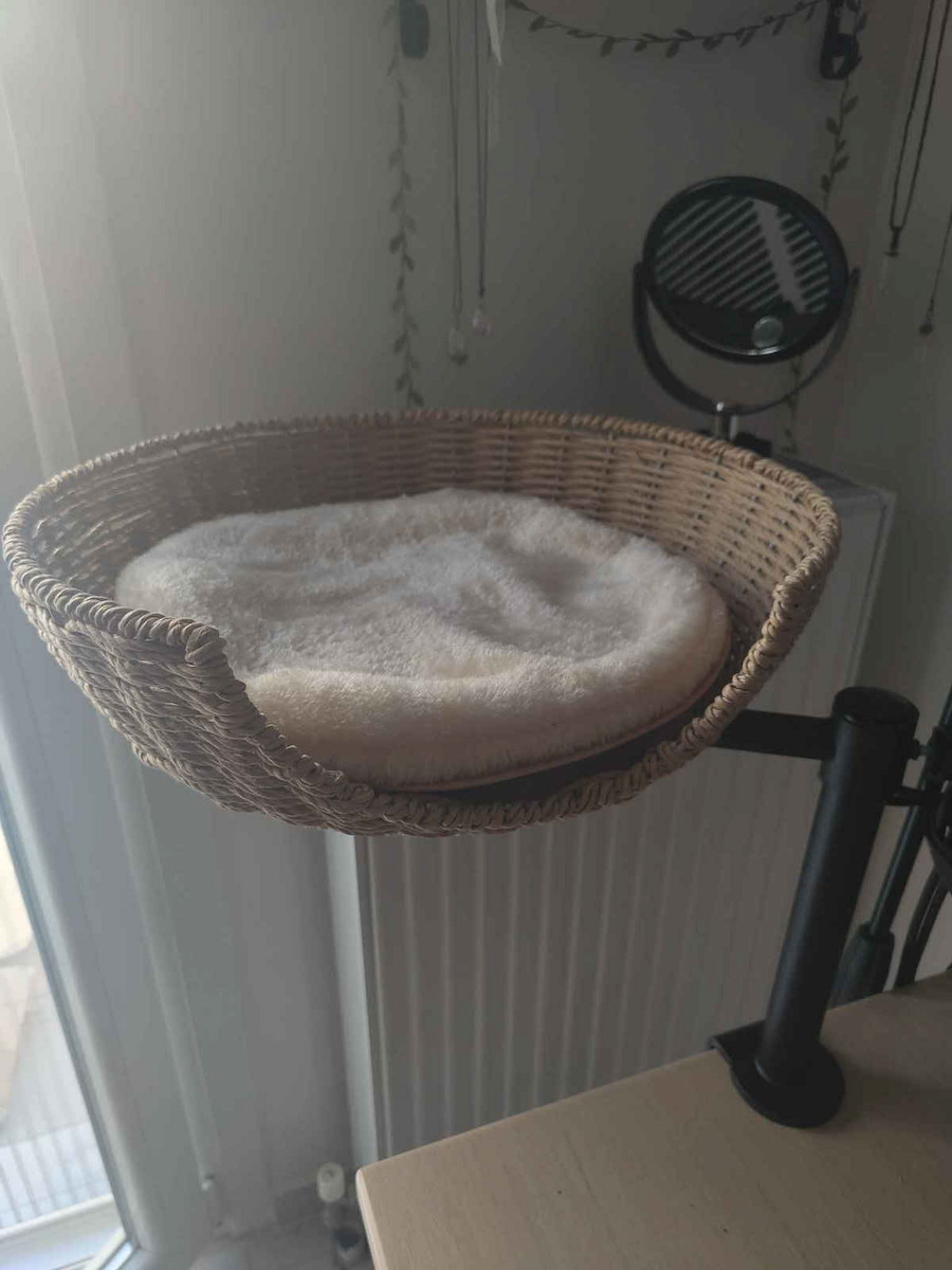 Cat Bed Office