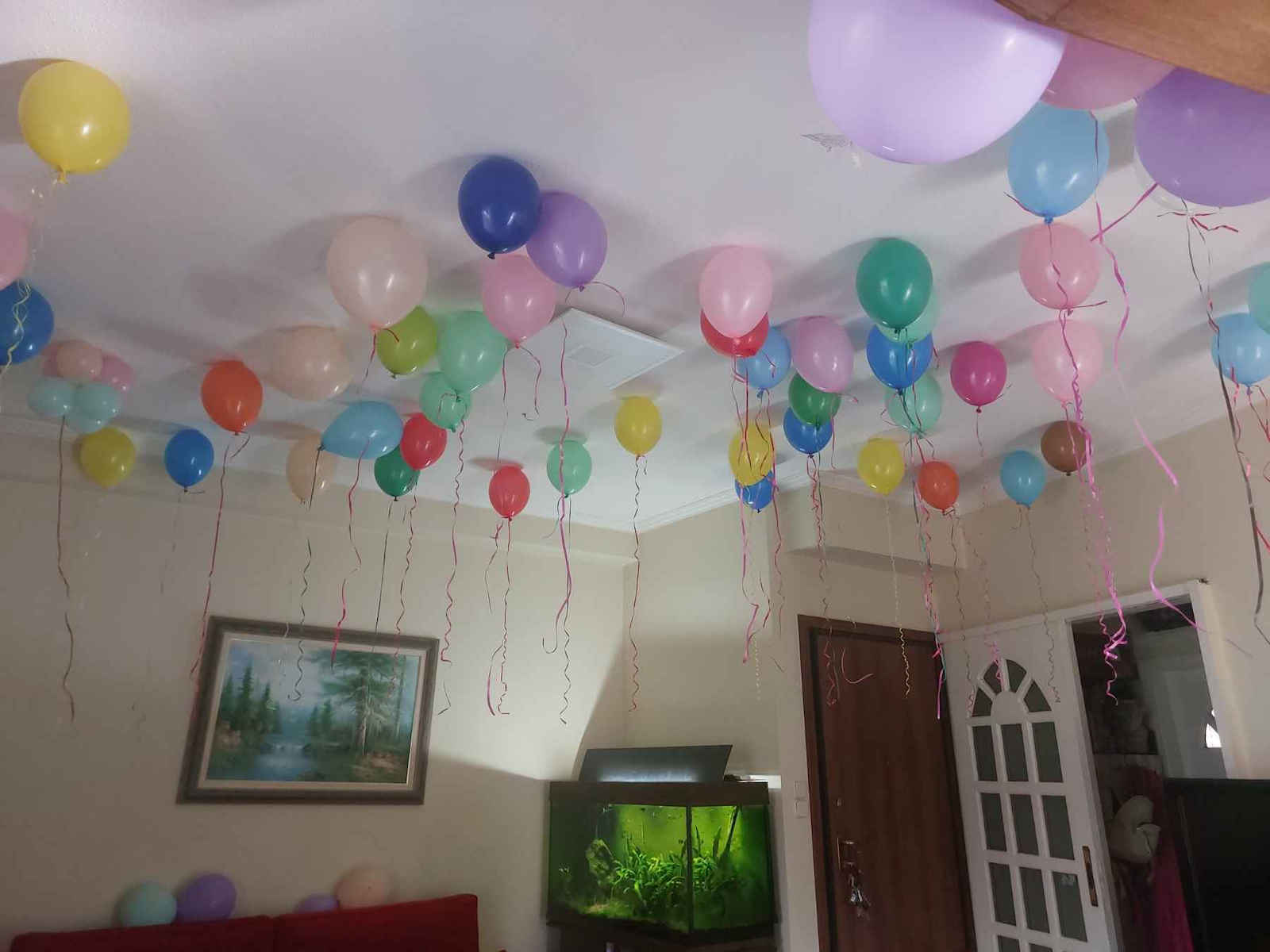 Butelie de heliu pentru 50 baloane