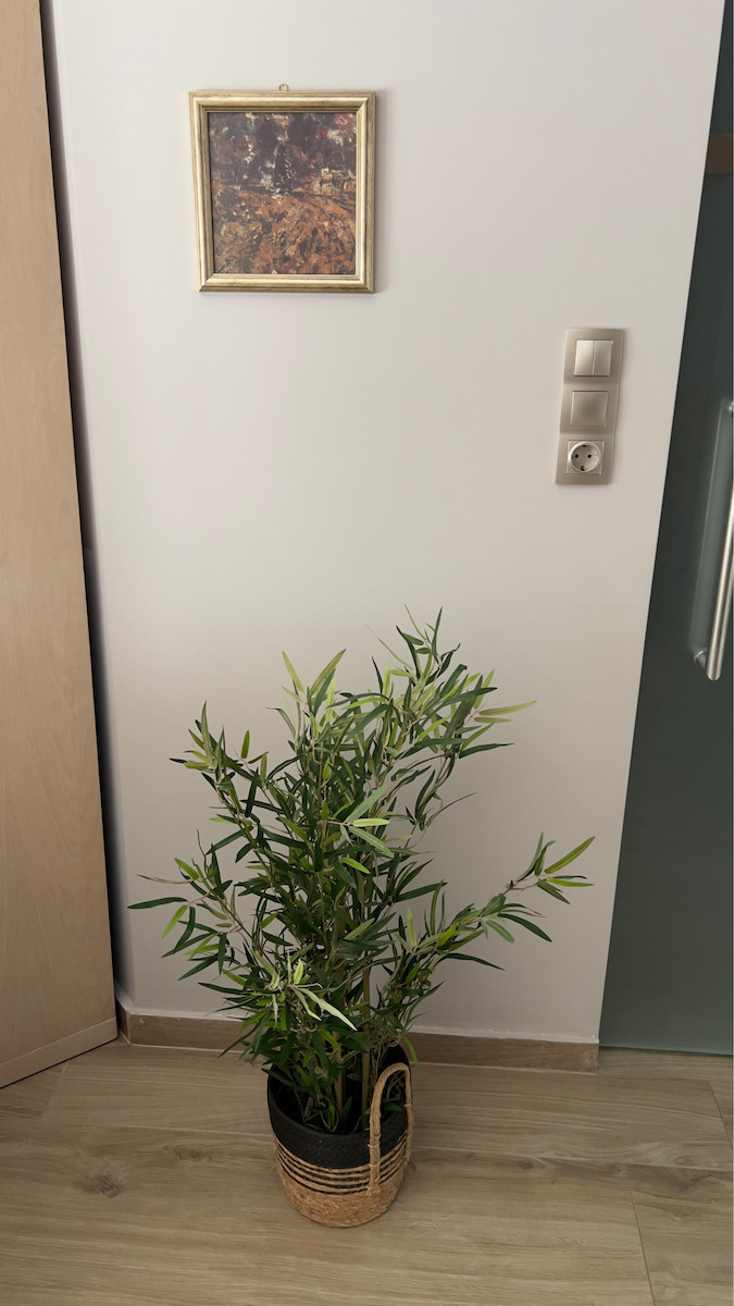 Μπαμπού σε Γλάστρα Μαύρο 90cm