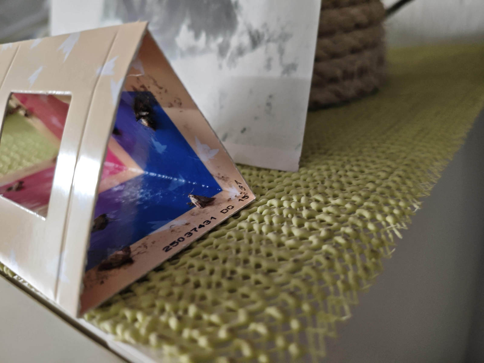 Vapona Lebensmittelmottenfalle 3 Stück Fallen für Motte 3cm