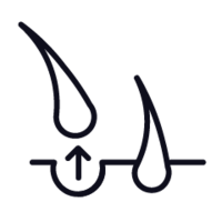 Anti-Haarausfall