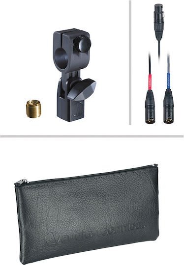 Audio Technica AE 2500 Δυναμικό Μικρόφωνο XLR Shock Mounted για Studio