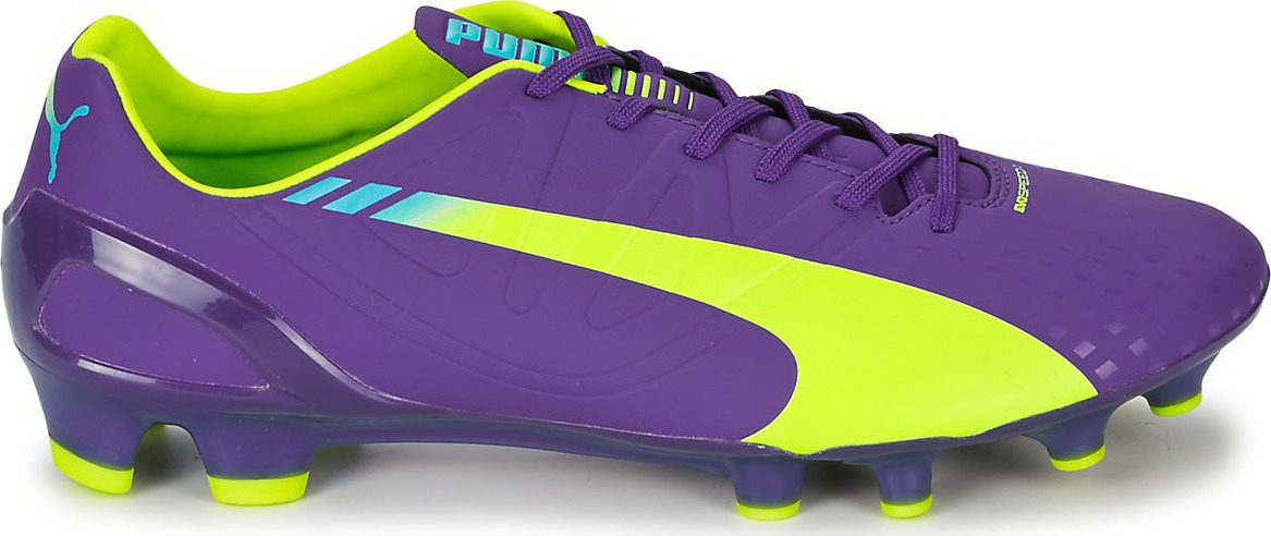 puma evospeed 2.3