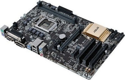 Asus H110-PLUS