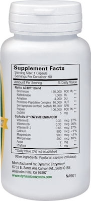 Dynamic Enzymes Natto ACTIV 45 veg. Kappen