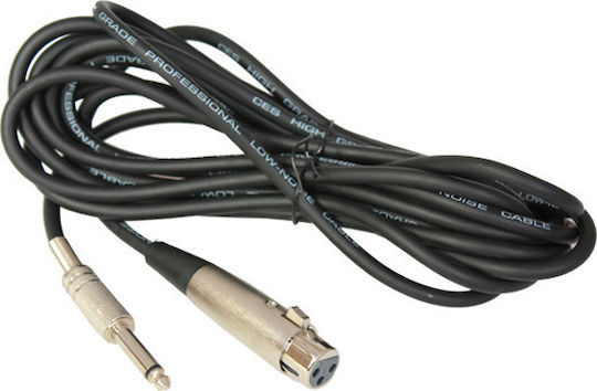 LTC Audio DM126 Δυναμικό Mikrofon XLR Handgemacht für Gesang