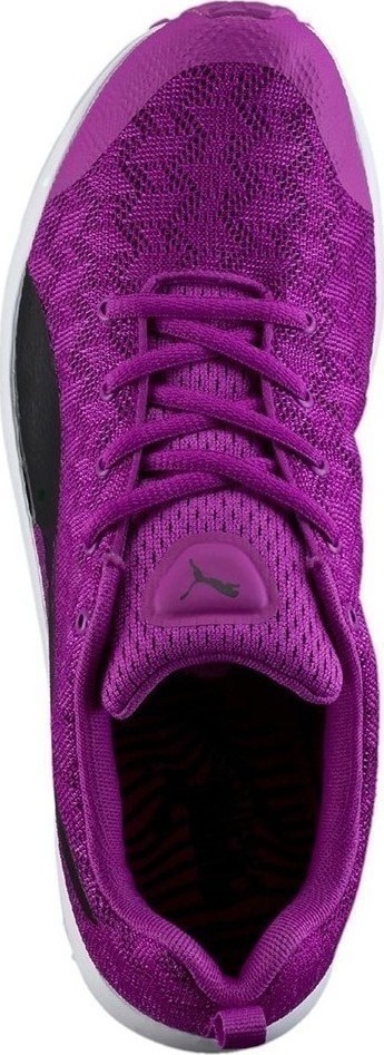 puma evader xt v2