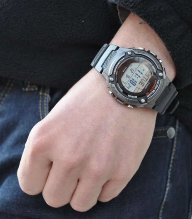 Casio ws200h online