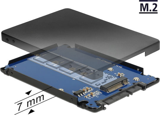 DeLock Converter SATA 22pin to M.2 with Enclosure