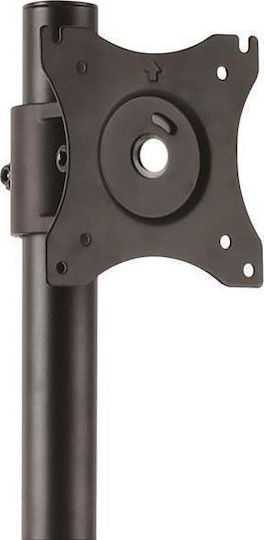StarTech Desktop Stand for 2 Monitors up to 27" with Arm (S55058042)